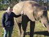 Shelley Hess - meeting one of the juvenile elephants near Addo on the Garden Route